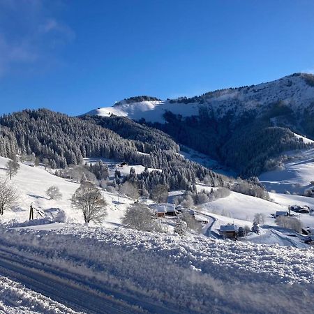 Demi Chalet Le Lachat Notre-Dame-de-Bellecombe Kültér fotó