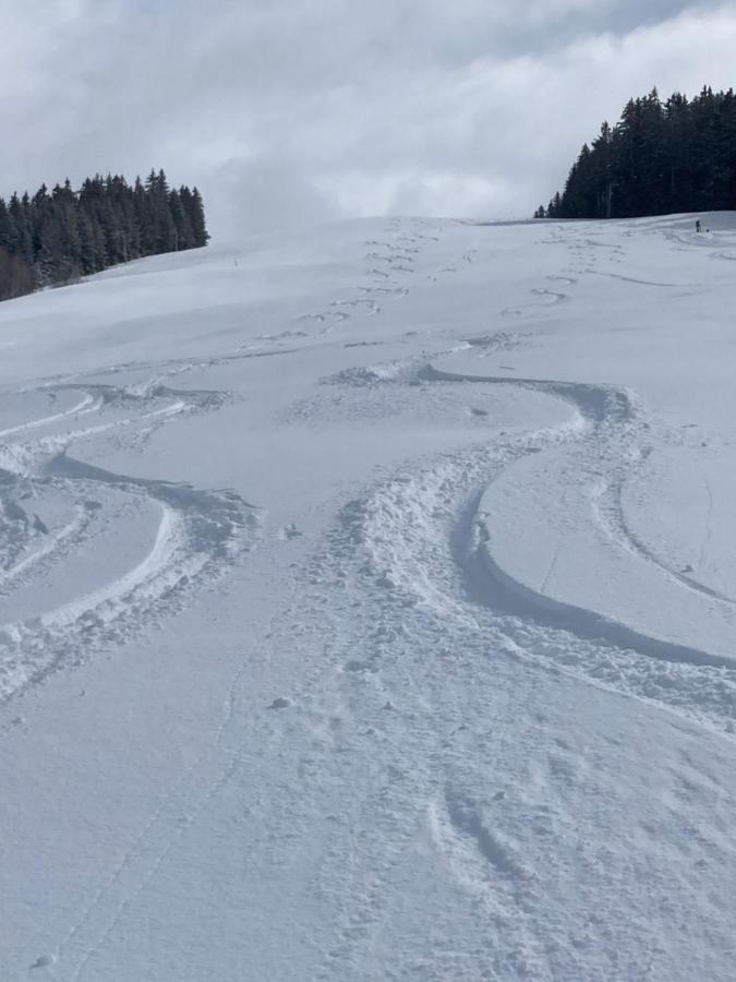 Demi Chalet Le Lachat Notre-Dame-de-Bellecombe Kültér fotó