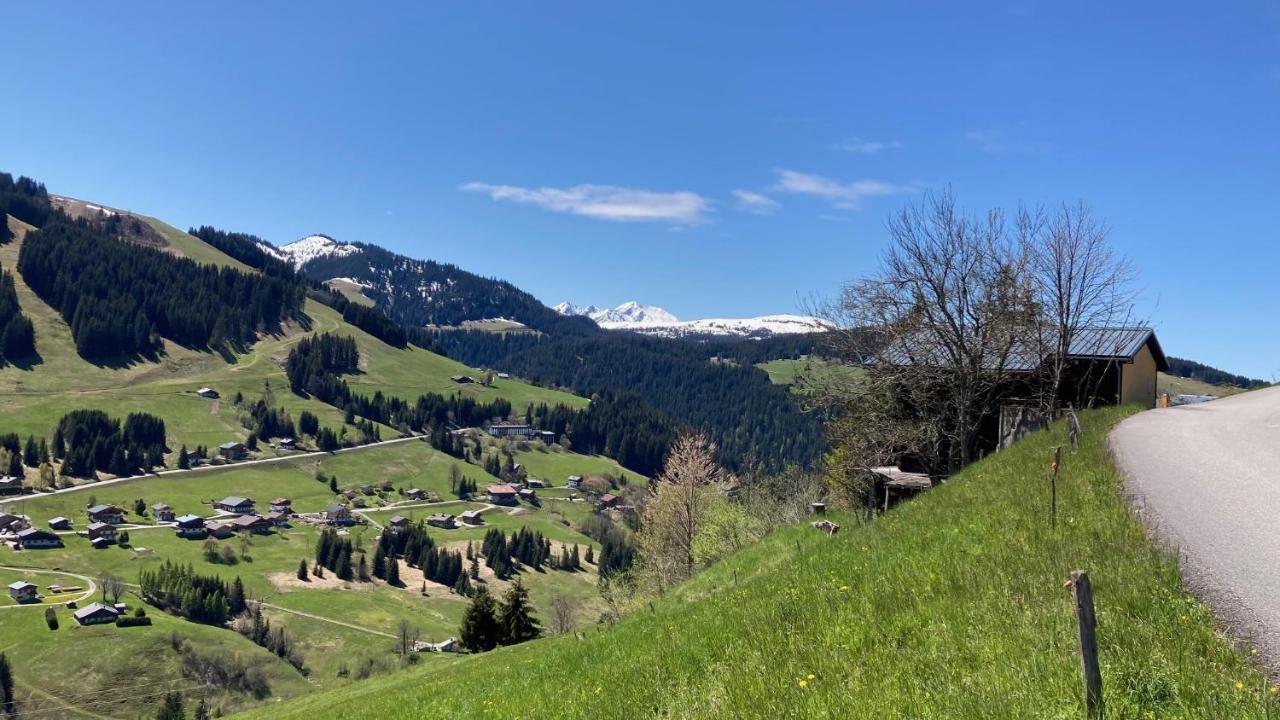 Demi Chalet Le Lachat Notre-Dame-de-Bellecombe Kültér fotó