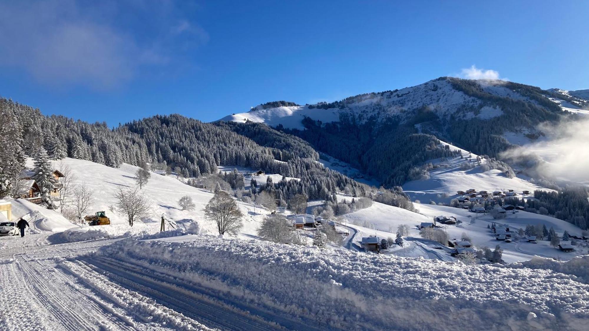 Demi Chalet Le Lachat Notre-Dame-de-Bellecombe Kültér fotó