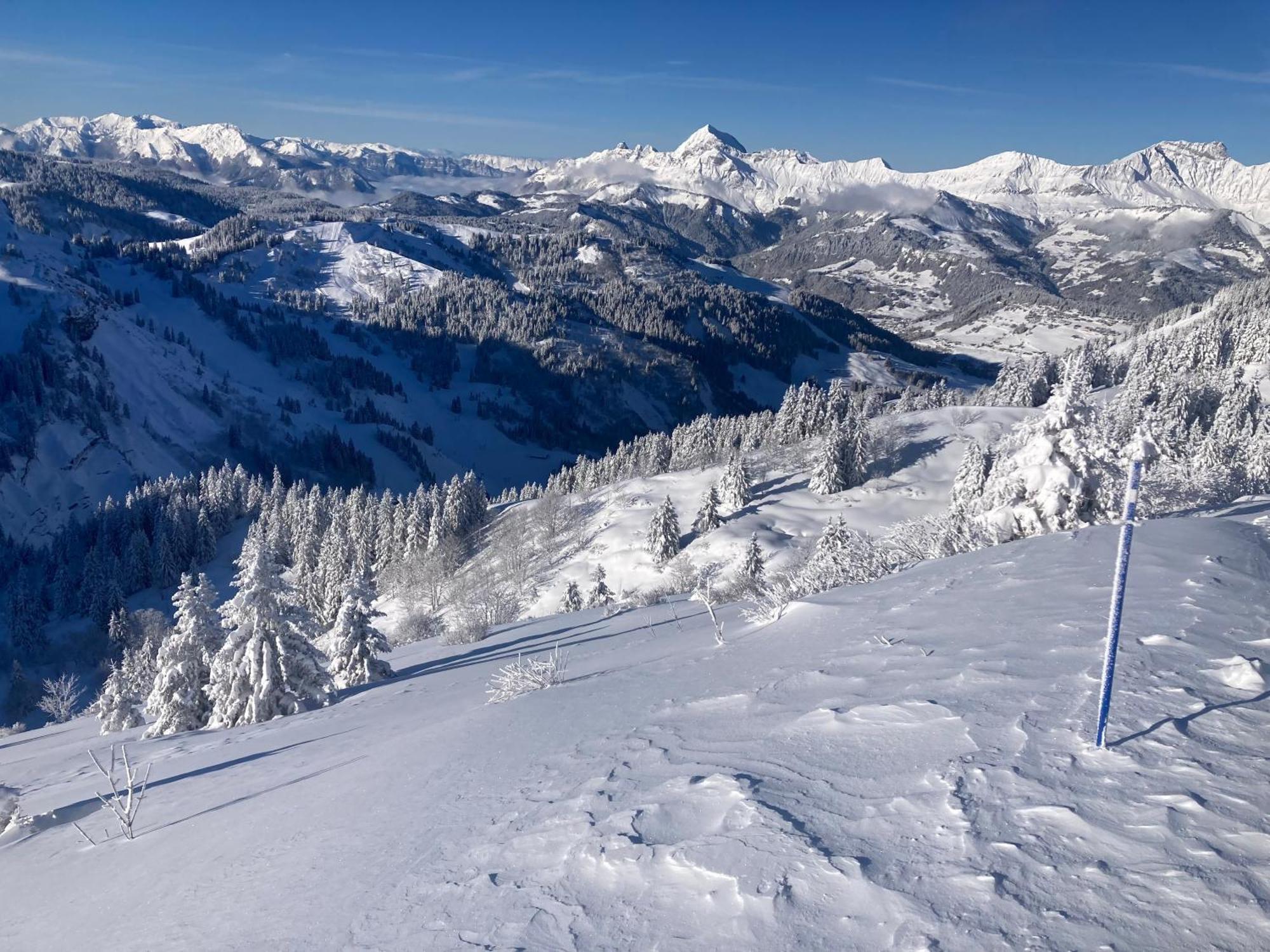 Demi Chalet Le Lachat Notre-Dame-de-Bellecombe Kültér fotó