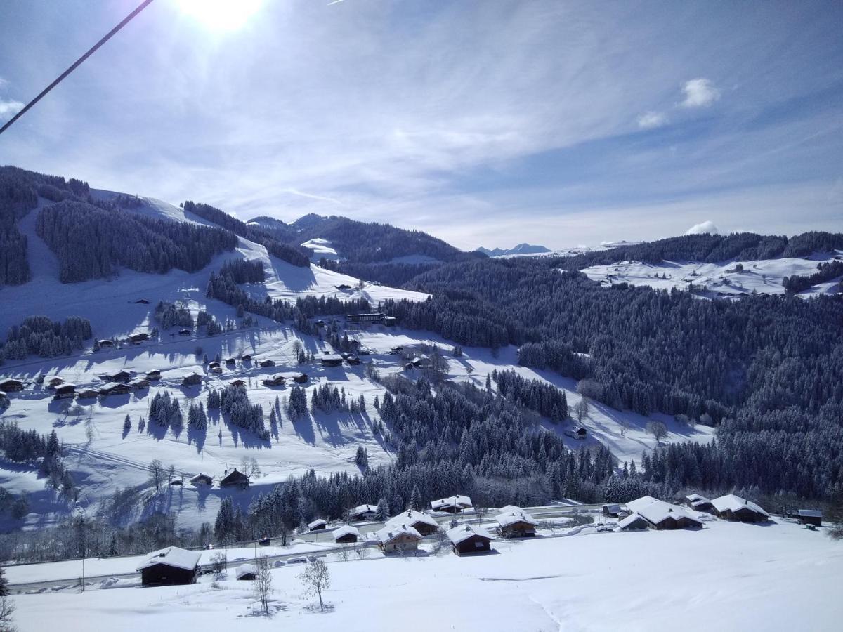 Demi Chalet Le Lachat Notre-Dame-de-Bellecombe Kültér fotó