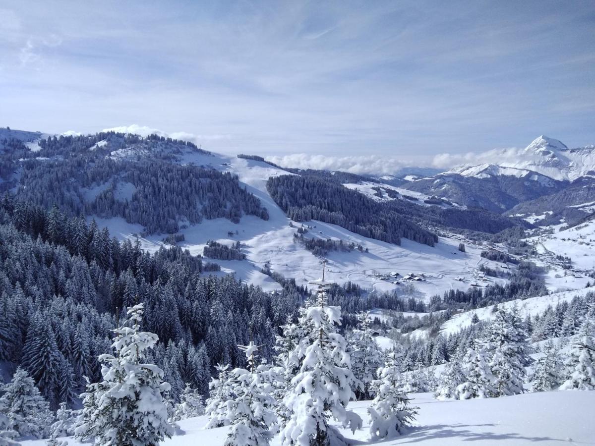 Demi Chalet Le Lachat Notre-Dame-de-Bellecombe Kültér fotó